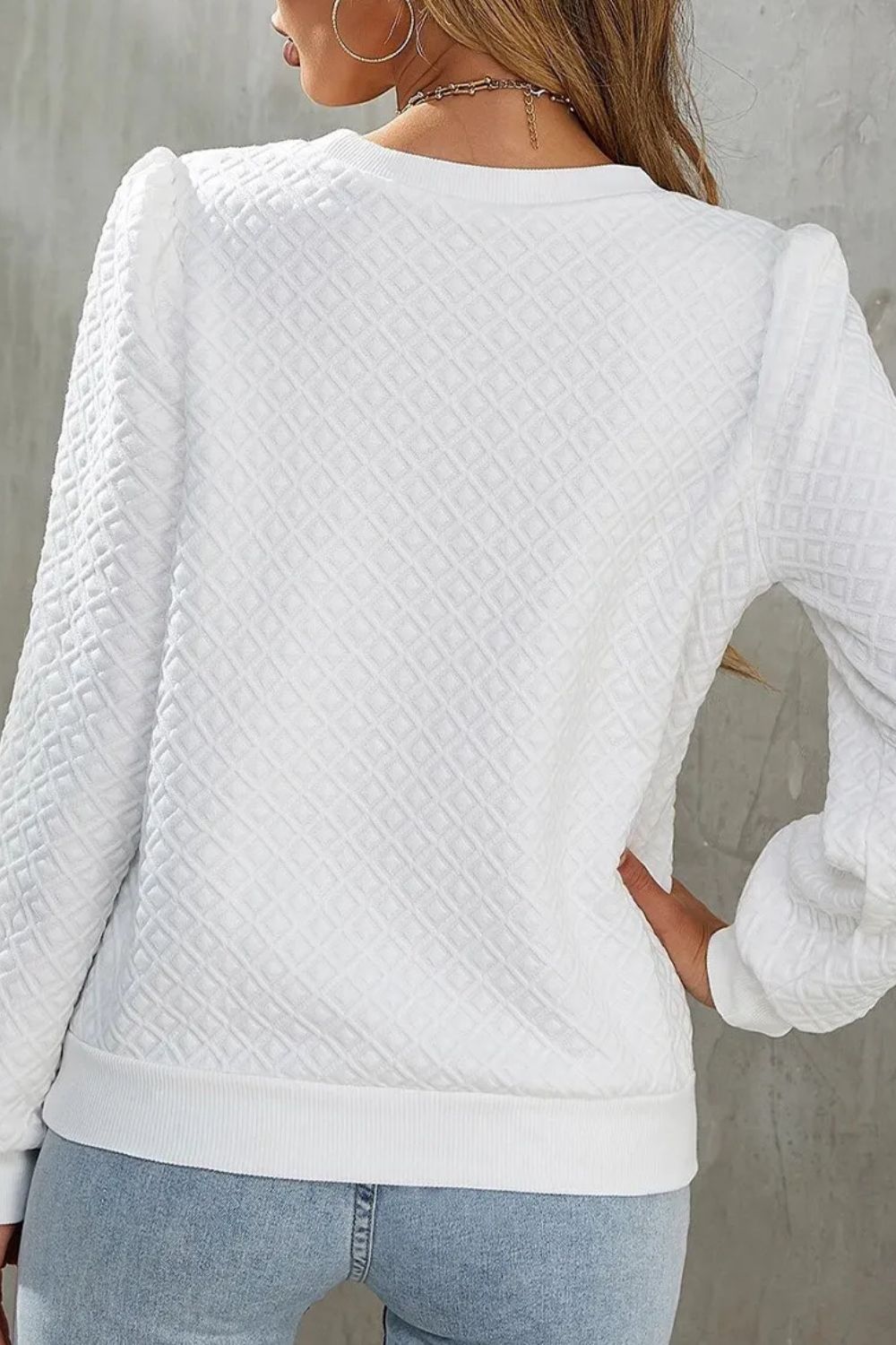 Textured Round Neck Long Sleeve Top Blouse Trendsi   