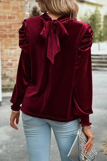 Tie Up Mock Neck Velvet Fabric Long Sleeve Blouse Blouse Trendsi   